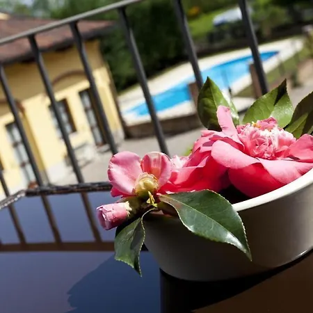 Soleil Colleretto Giacosa