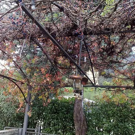 Soleil 3* Colleretto Giacosa